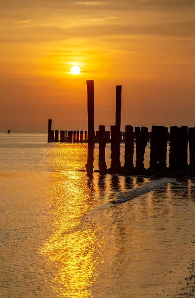 Puesta Sol Costa Holandesa Con Postes Madera — Foto de Stock