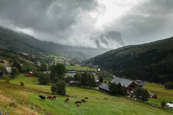 Scenic Picture Norway — Stock Photo, Image