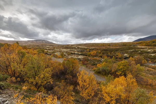 Outdoor Landschaft Norwegens Schönen Herbstfarben Ist Wie Ein Indischer Sommer — Stockfoto