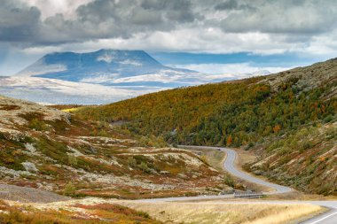 Norveç yol peyzaj sonbahar renkleri 