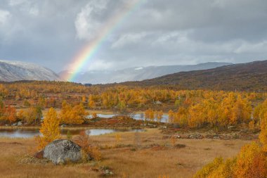 Norveç açık peyzaj içinde güzel sonbahar renkleri Hindistan yaz gibi. 
