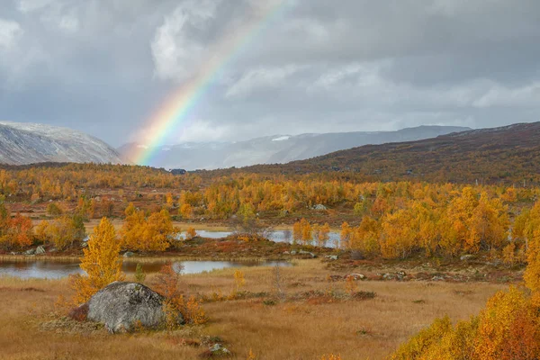 Utomhus Landskap Norge Vackra Höstfärger Det Som Indian Summer — Stockfoto