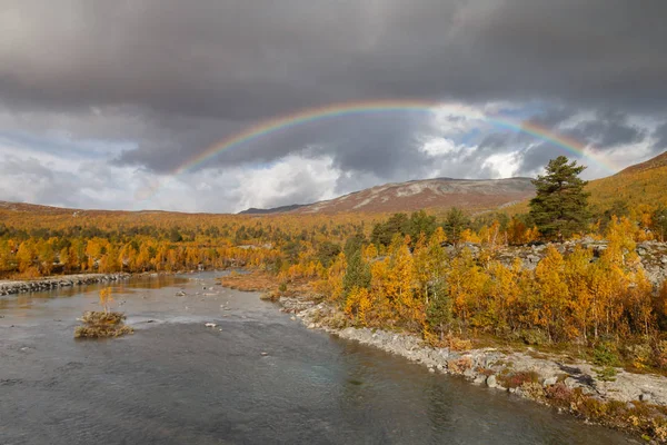 Outdoor Landschaft Norwegens Schönen Herbstfarben Ist Wie Ein Indischer Sommer — Stockfoto