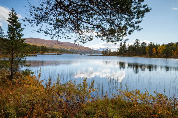 Paysage Extérieur Norvège Dans Belles Couleurs Automne Est Comme Été — Photo