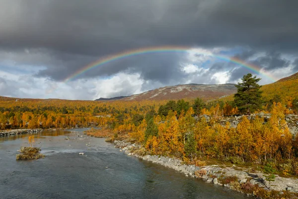 Outdoor Landschap Van Noorwegen Mooie Herfst Kleuren Die Het Als — Stockfoto