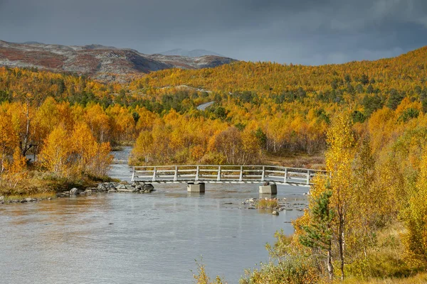 Открытый Пейзаж Норвегии Красивых Осенних Красках Индийское Лето — стоковое фото