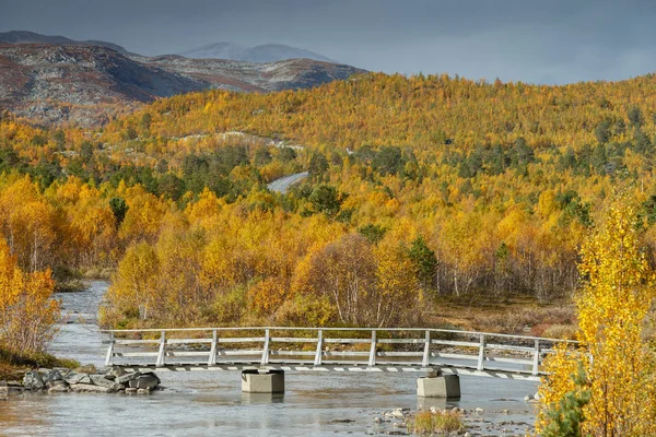 それはインドの夏のような美しい紅葉のノルウェーの屋外風景 — ストック写真