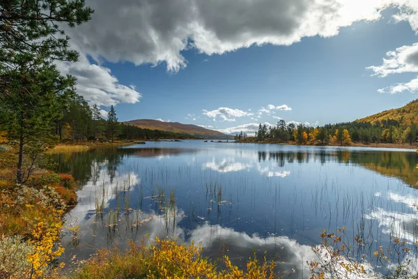 Outdoor Landschap Van Noorwegen Mooie Herfst Kleuren Die Het Als — Stockfoto