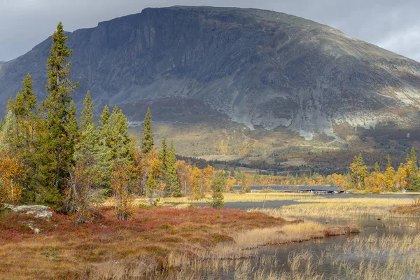 Imagem Natureza Paisagem Norueguesa Durante Outono Com Cores Bonitas — Fotografia de Stock