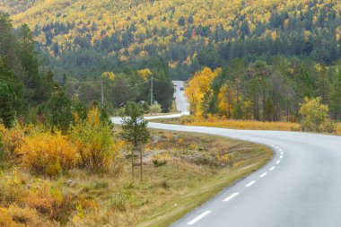 Norveç Doğa yolda.
