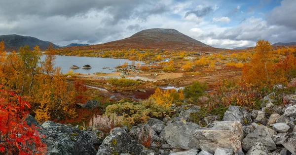 Νορβηγικά Τοπίο Στα Χρώματα Του Φθινοπώρου Μια Όμορφη Θέα — Φωτογραφία Αρχείου