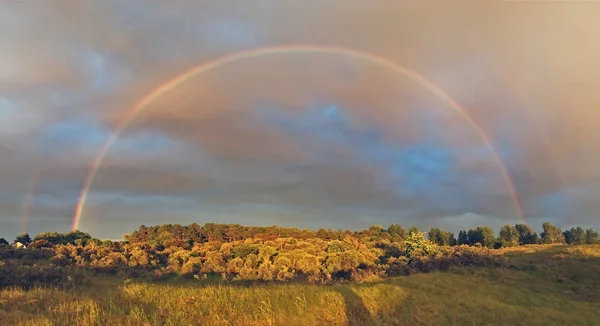 A compleet rainbow at a forest.