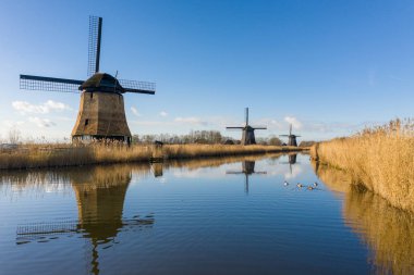 Rustenburg Kuzey Hollanda, eski tipik Hollanda yel değirmenleri 