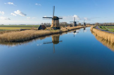 Rustenburg Kuzey Hollanda, eski tipik Hollanda yel değirmenleri 
