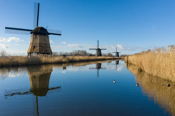 Alte Typische Holländische Windmühlen Bei Rustenburg North Holland — Stockfoto