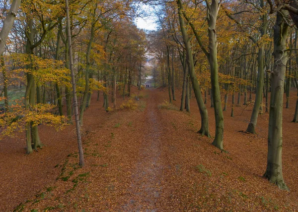 Oude Prieel Een Herfst Bos — Stockfoto