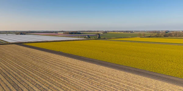 Zaanse Schans'a zamanında günbatımı, Amsterdam alan, yüksek noktadan itibaren görülen Holland, geleneksel Hollanda yel değirmenleri.
