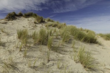 Kuzey Denizi 'nde Hollandalı kum tepeleri olan güzel bir manzara.