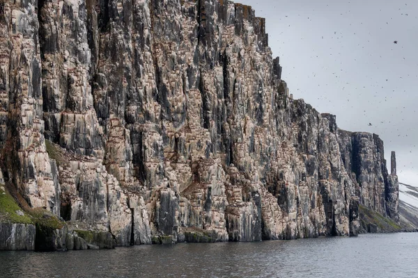 Prachtig Landschap Met Kliffen Bij Zee Zwartbenige Kittiwake Vogels Bij — Stockfoto