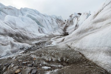 Spitsbergen 'deki buzul cephesi.