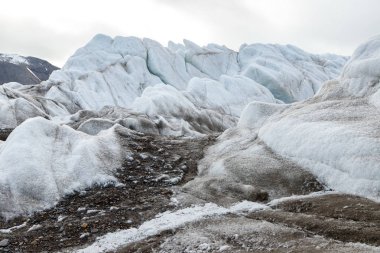 Spitsbergen 'deki buzul cephesi.