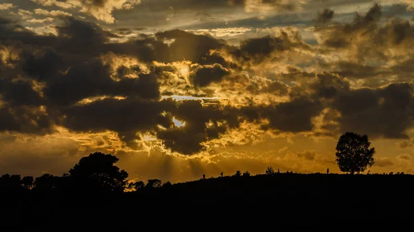 黄昏时满是薰衣草的山丘上的自然景观 — 图库照片