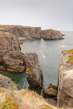 Spillars Cove Bonavista Newfoundland Kanada 'nın kayalık kıyı şeridi.