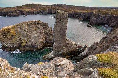 Spillars Cove Bonavista Newfoundland Kanada 'nın kayalık kıyı şeridi.