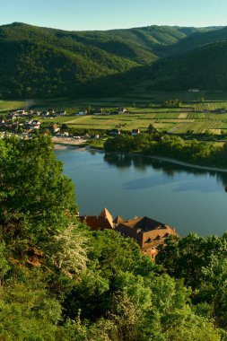 Üzüm bağları, Tuna Nehri ve Avusturya 'daki Drnstein, Vachau Vadisi' ndeki kırmızı çatılı evlerin üzerindeki bir dağdan dikey güneşli manzara. Canlı detaylarla manzara manzarası.