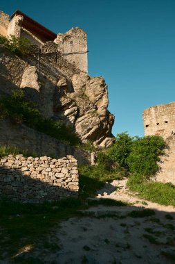 Avusturya 'nın Wachau Vadisi' ndeki açık mavi gökyüzünün altında yeşilliklerle çevrili, kısmen korunmuş taş duvarları olan şato kalıntılarının güneşli manzarası.