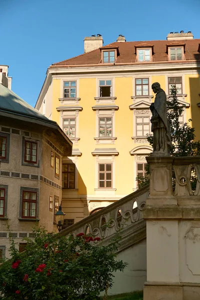 Tarihi Viyana 'nın güneşli manzarasında eski binalar, heykele giden bir merdiven, çiçek açan kırmızı güller ve ön cephelerinde güneş ışığı olan mavi gökyüzü..