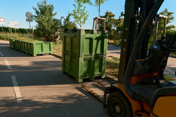Freshly harvested grapes in green boxes at the vineyard. A forklift transports the crop along the asphalt road between grapevines during harvest season and winemaking.