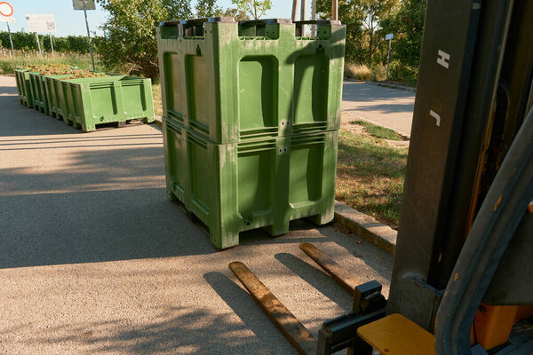 Large green boxes filled with freshly picked grapes stand on the asphalt road among vineyards. Autumn harvest season, winemaking process, organic farming concept.