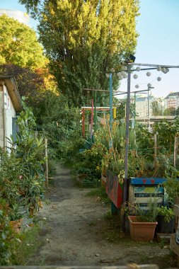 Viyana 'da rahat bir şehir bahçesinin dikey perspektifi. Sebzeler, otlar ve yeşilliklerle dolu ahşap ekiciler, sonbahar renklerini ve sıcak hasat titreşimlerini vurgulayarak yol boyunca diziliyorlar..
