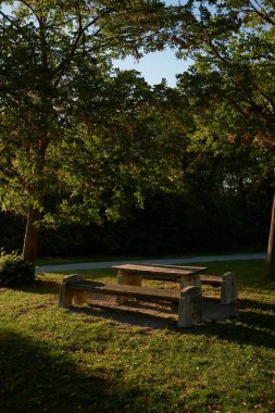 Her iki tarafında banklar olan ahşap piknik masası parkta, sıcak güneş ışığı altında duruyor. Altın yapraklar ve yumuşak doğal ışık ile sonbahar atmosferi.