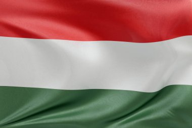 Yumuşak, dinamik hareket ve zarif tekstil detaylarıyla Macaristan bayrağını sallayarak, nazikçe dalgalanan ve katlanan özgürlüğün ve kimliğin özünü yakalıyor..