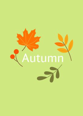 Sonbahar temalı kare arka planlar, zarif dallar ve dökülen yapraklarla minimalist bir tarzda. Tam olarak düzenlenebilir vektör şablonları kartlar, pankartlar, davetiyeler ve sosyal medya için mükemmel.