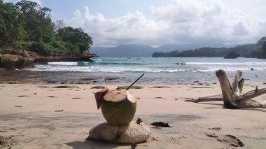 Taze yeşil hindistan cevizi içeceği kumlu sahilde turkuaz okyanus dalgaları ve arka planda kayalık sahil şeridi, tropik yaz tatili konsepti..