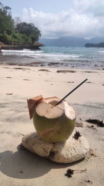 Taze yeşil hindistan cevizi içeceği kumlu sahilde turkuaz okyanus dalgaları ve arka planda kayalık sahil şeridi, tropik yaz tatili konsepti..