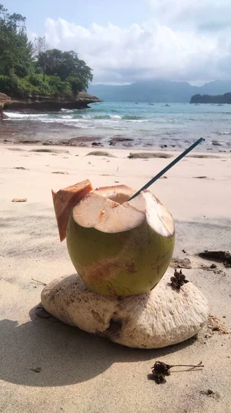Taze yeşil hindistan cevizi içeceği kumlu sahilde turkuaz okyanus dalgaları ve arka planda kayalık sahil şeridi, tropik yaz tatili konsepti..