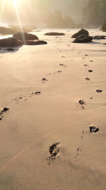 Altın saat boyunca kumlu sahilde güneş ışığı ve kayalarla ayak izleri.