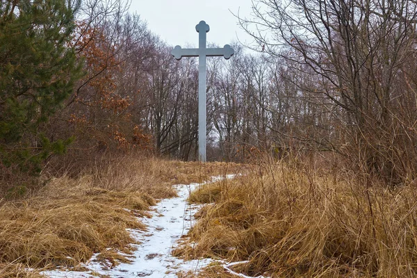 Beregovoe Obwód Kaliningradzki Rosja Marzec 2017 Pomnik Krzyż Miejscu Domniemanego — Zdjęcie stockowe