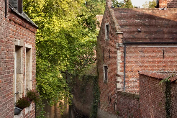 Eski Groot Begijnhof Leuven Tarihi Binalarda Korunmuş Bir Beguinage Tamamen — Stok fotoğraf