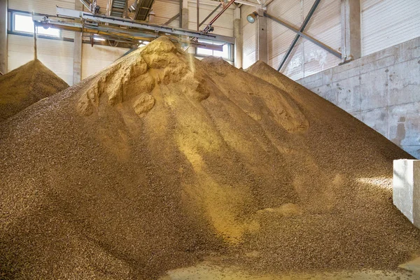 Gránulos Tortas Colza Fábrica Agrícola Para Producción Aceite Colza —  Fotos de Stock