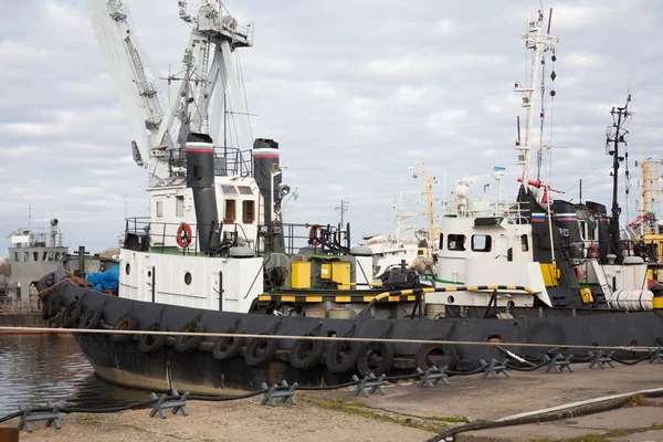 Remolcadores Marinos Amarrados Puerto — Foto de Stock