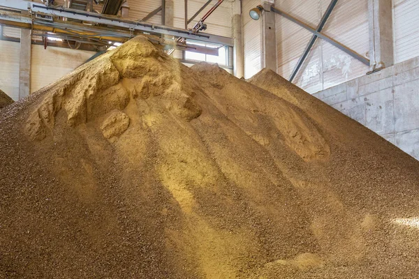 Gránulos Tortas Colza Fábrica Agrícola Para Producción Aceite Colza —  Fotos de Stock