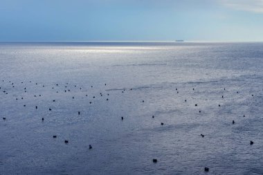 Midye yetiştirme Körfez Napoli, İtalya ile güzel deniz manzaralı.