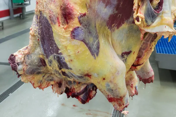 Fresco Macellato Bestiame Appeso Ganci Allevamento Carne — Foto Stock