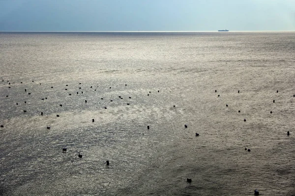 Belo Mar Com Mussel Cultivation Golfo Nápoles Itália — Fotografia de Stock