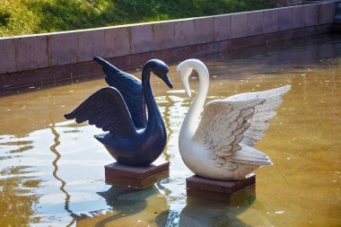 Beyaz ve siyah kuğu Almatı şehir park heykelleri. 